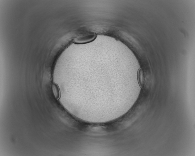 X0000113780407200910211210