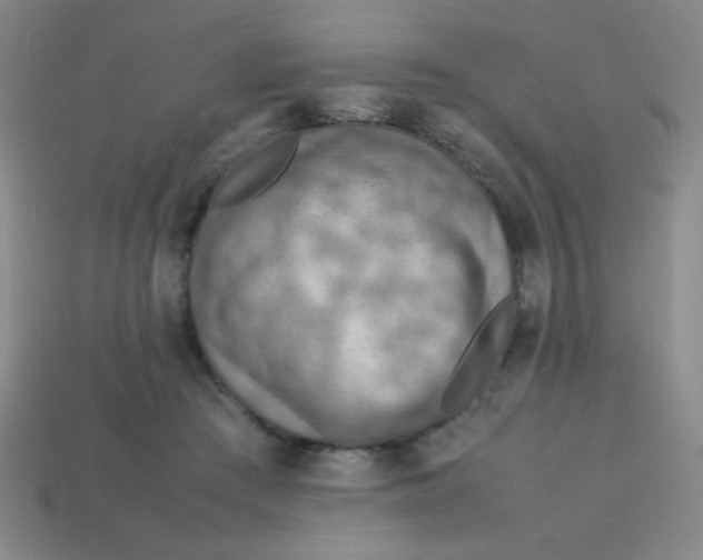 X0000113780409200910211210