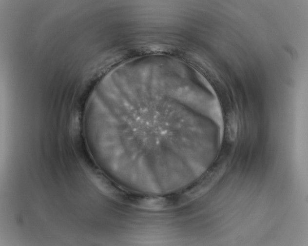 X0000113780410200910211210