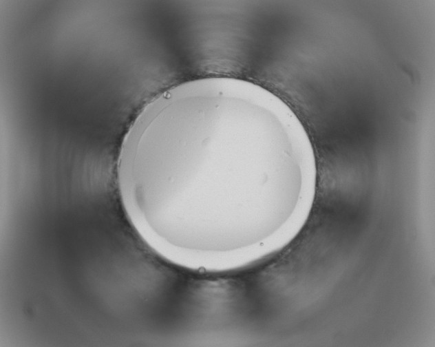X0000113780411200910211210