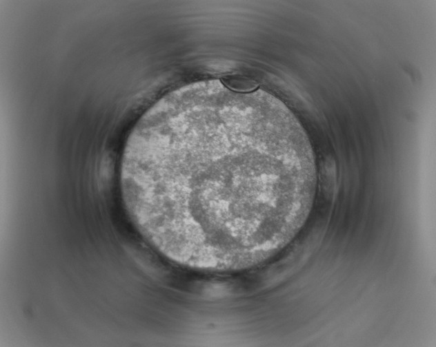 X0000113780412200910211210