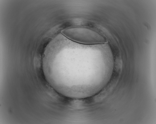 X0000113780413200910211210