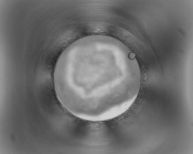 X0000113780415200910211210