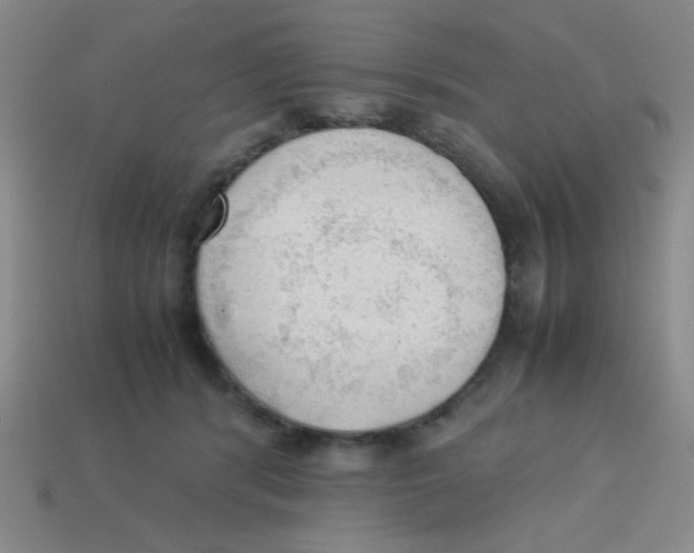X0000113780416200910211210