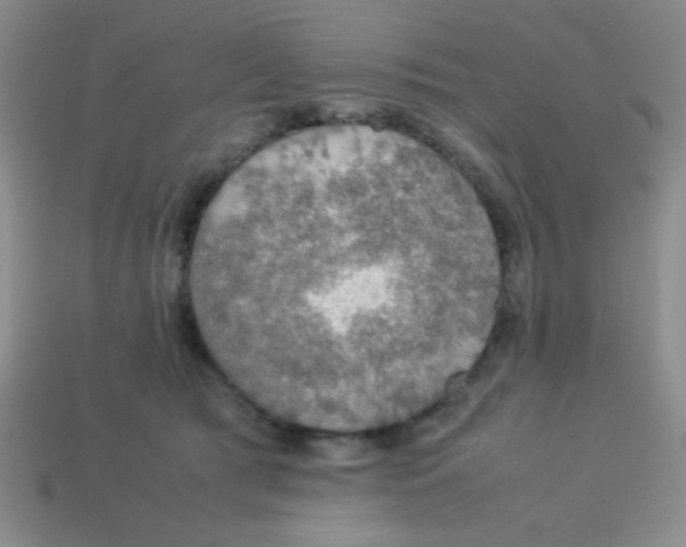X0000113780417200910211210