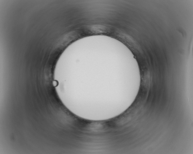 X0000113780418200910211210