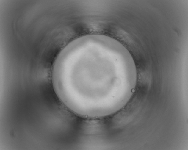 X0000113780419200910211210