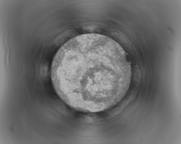 X0000113780420200910211210