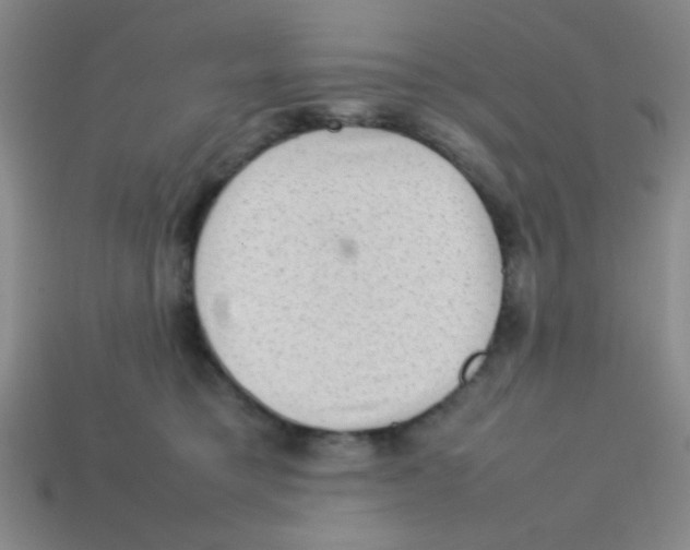 X0000113780421200910211210