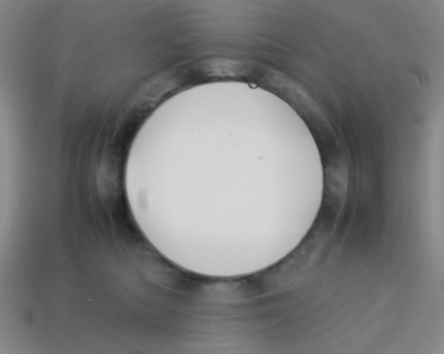 X0000113780422200910211210