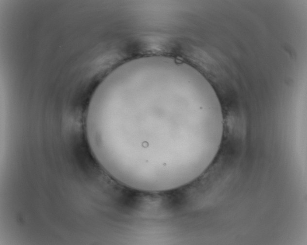 X0000113780423200910211210