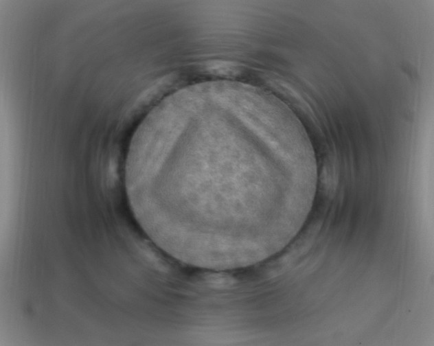X0000113780424200910211210