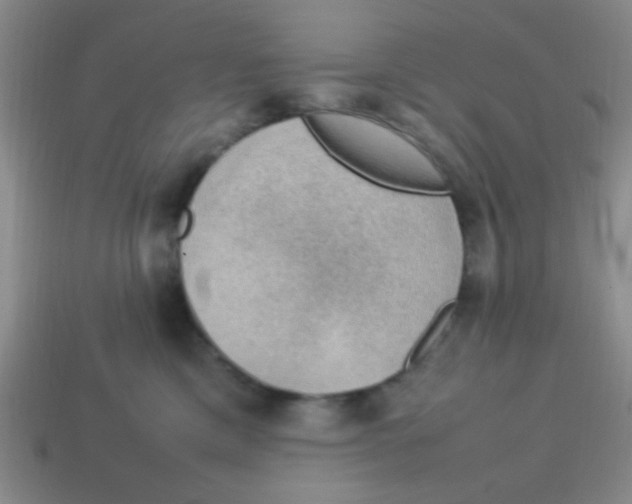 X0000113780425200910211210