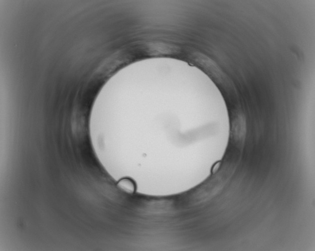 X0000113780426200910211210