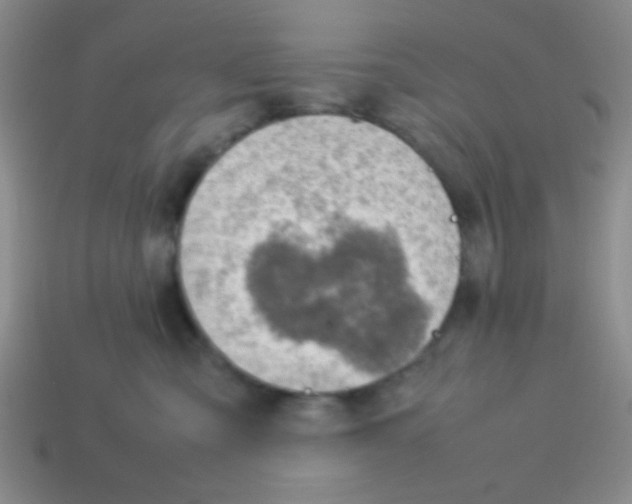 X0000113780427200910211210