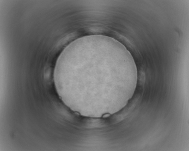 X0000113780428200910211210