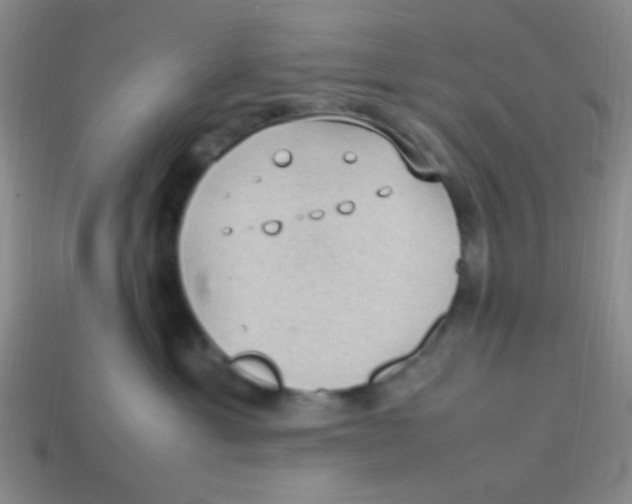 X0000113780429200910211210