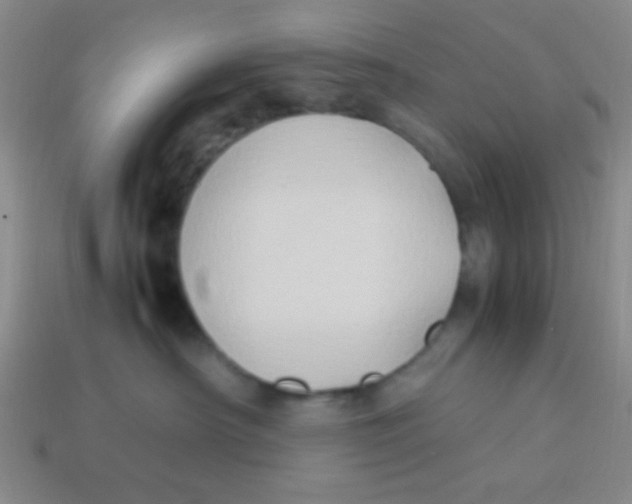 X0000113780430200910211210