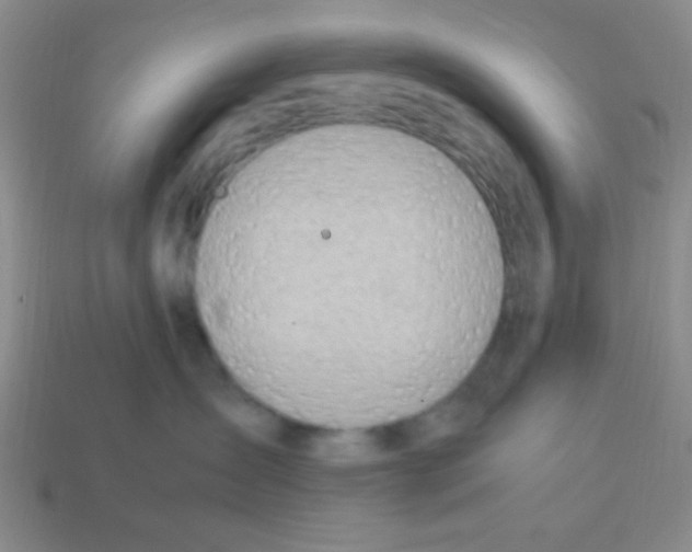 X0000113780431200910211210