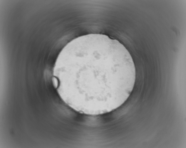 X0000113780432200910211210