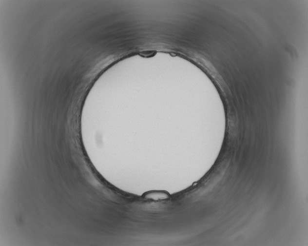 X0000113780433200910211209