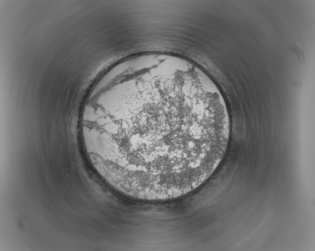 X0000113780434200910211209