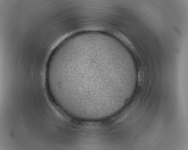 X0000113780436200910211209