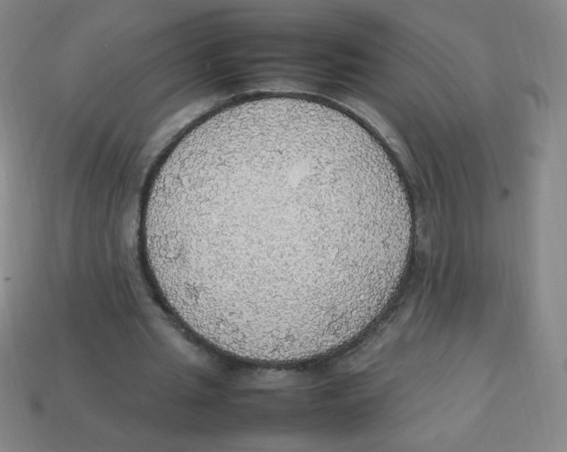 X0000113780437200910211209