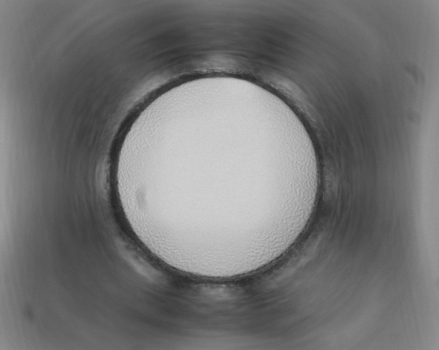 X0000113780439200910211209