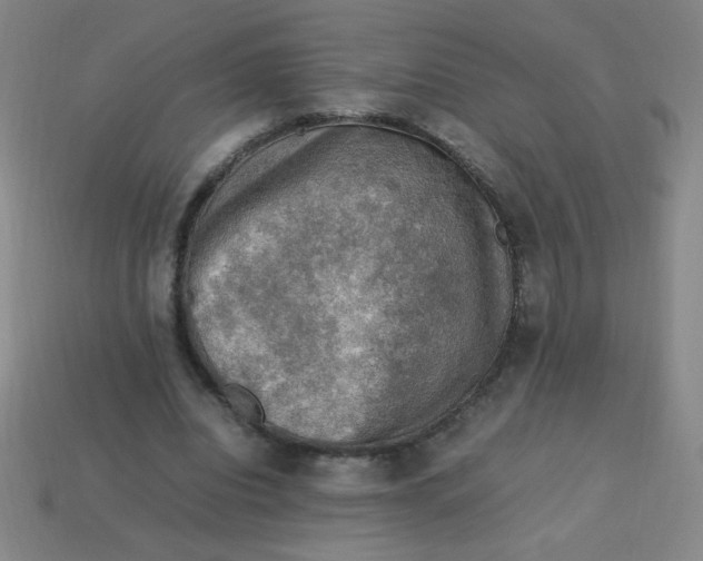 X0000113780440200910211209