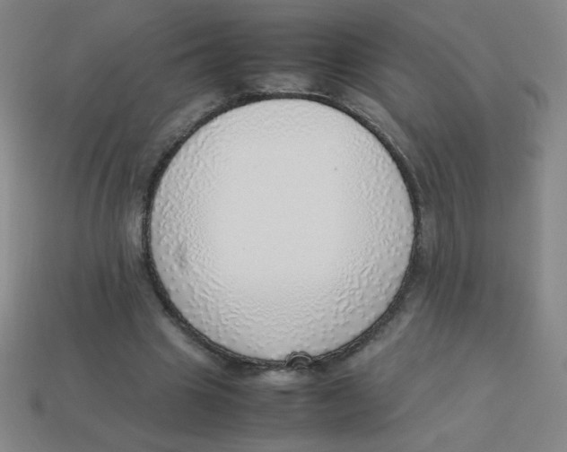 X0000113780441200910211209
