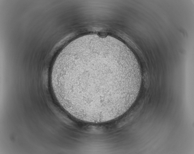 X0000113780442200910211209