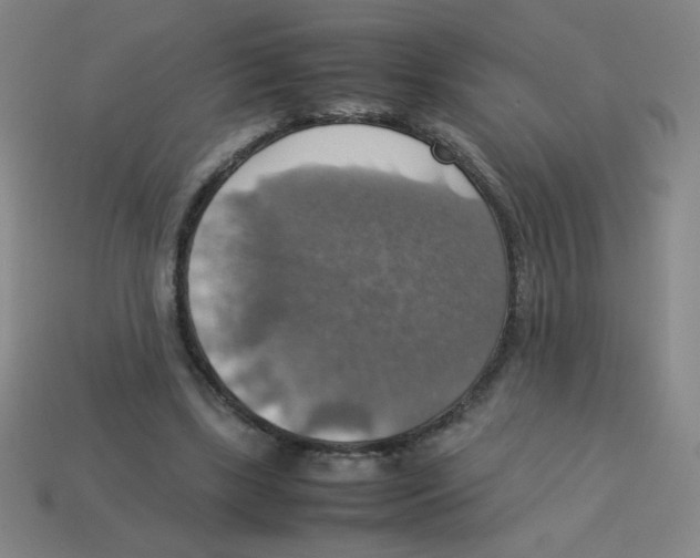 X0000113780443200910211209