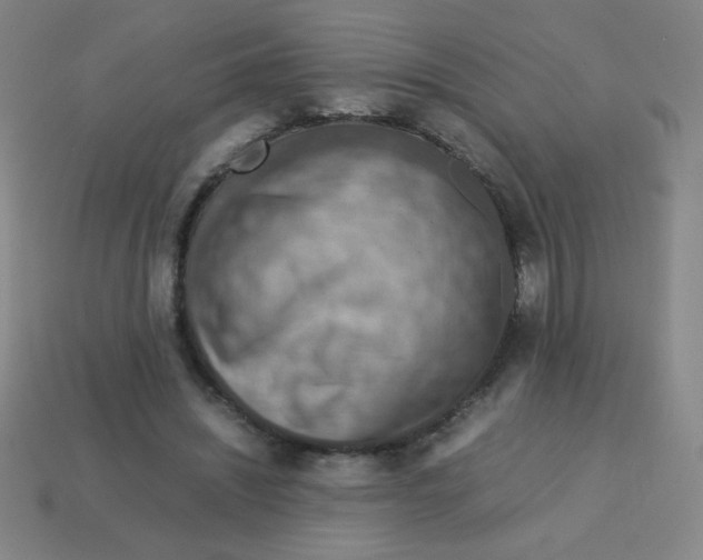 X0000113780444200910211209