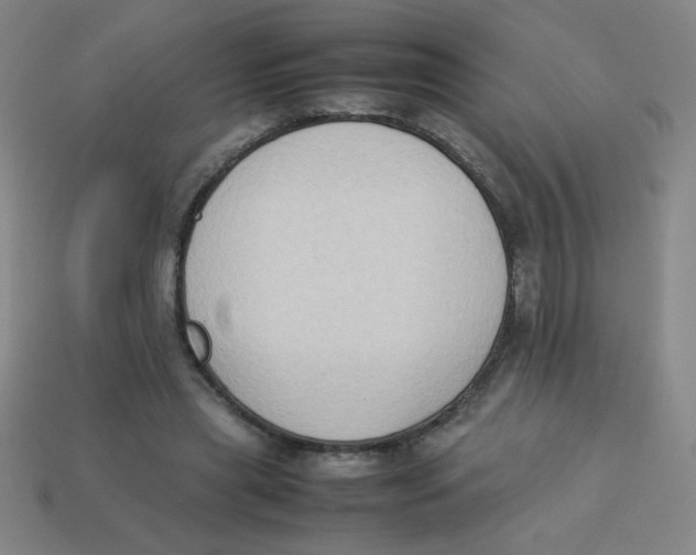 X0000113780445200910211209
