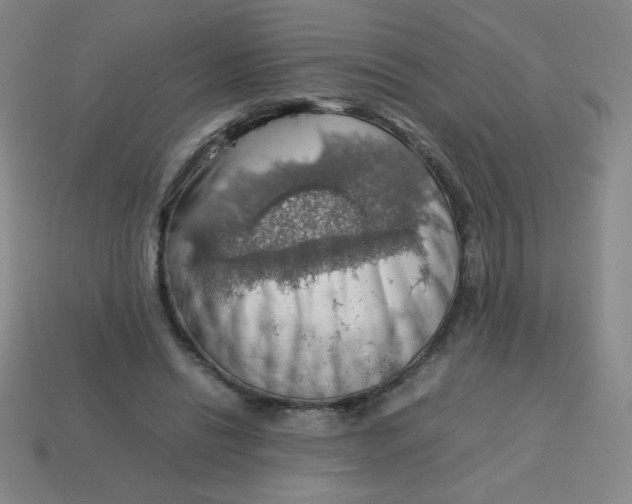 X0000113780446200910211209