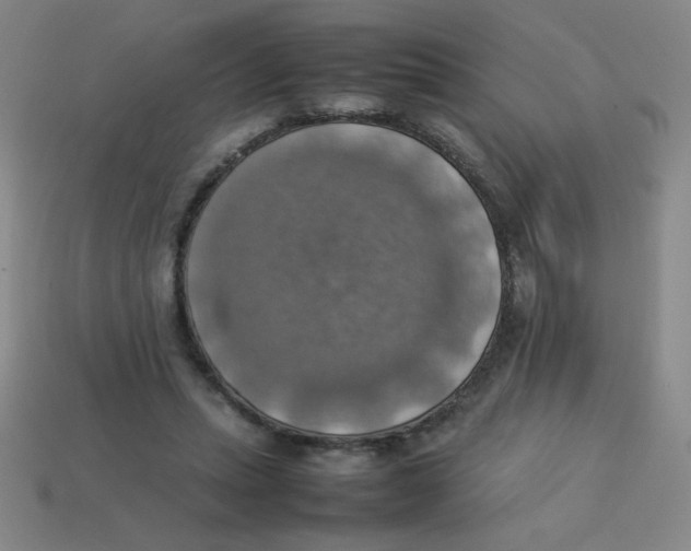 X0000113780447200910211209