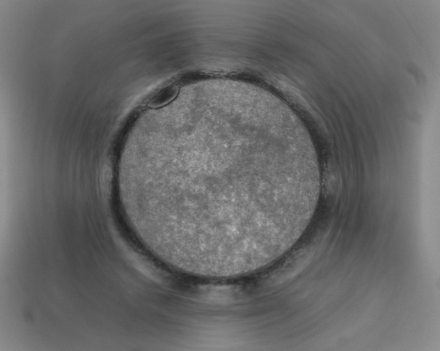 X0000113780448200910211209