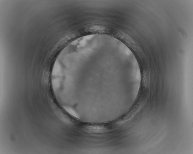 X0000113780449200910211209