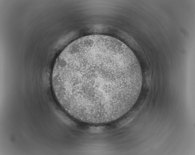 X0000113780450200910211209