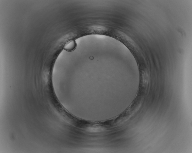 X0000113780451200910211209