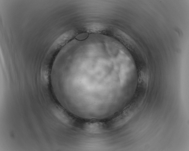 X0000113780452200910211209