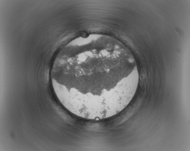 X0000113780454200910211209