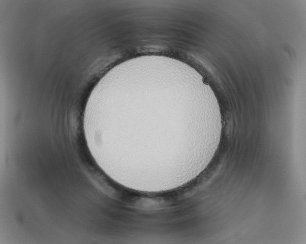 X0000113780455200910211209