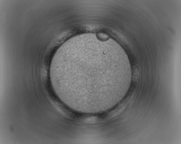 X0000113780456200910211209