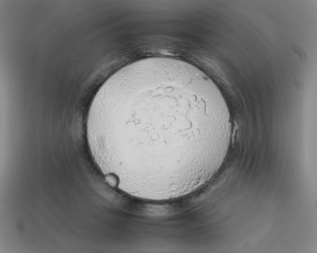 X0000113780457200910211209