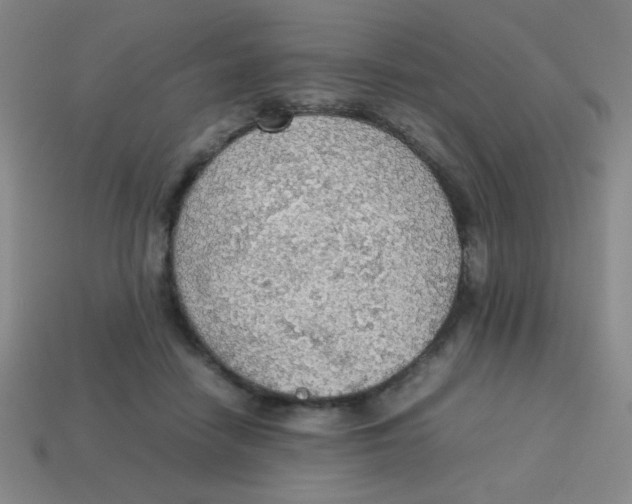 X0000113780458200910211209