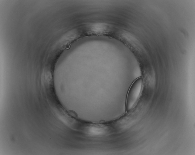 X0000113780459200910211209