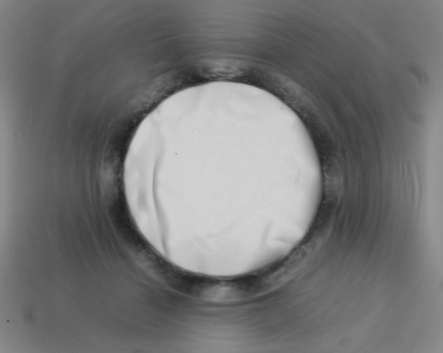X0000113780460200910211209