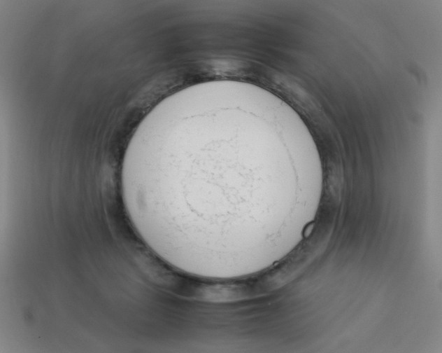 X0000113780461200910211209